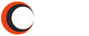 Custom Influence